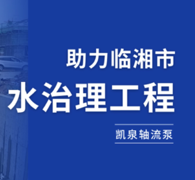 守护湘北粮仓，尊龙凯时轴流泵助力临湘市水治理工程